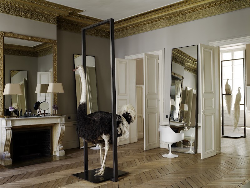 David Mallett - Coiffure Paris - OneBooking