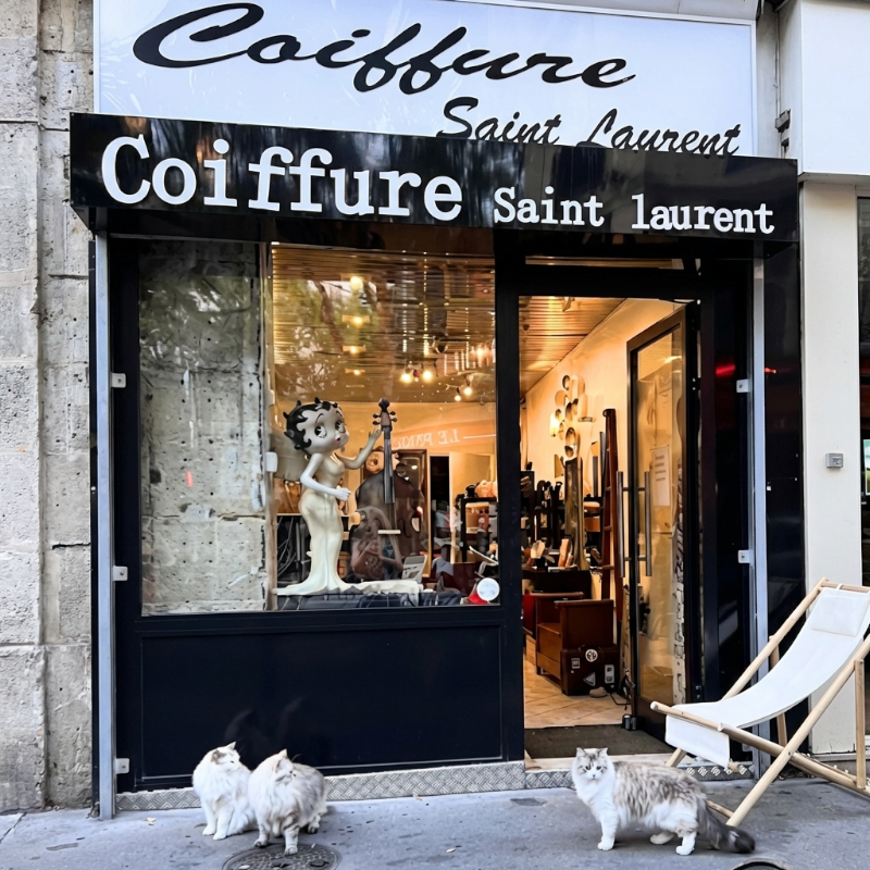 Coiffure St Laurent® - Paris I Salon de coiffure - Coiffure Paris - OneBooking