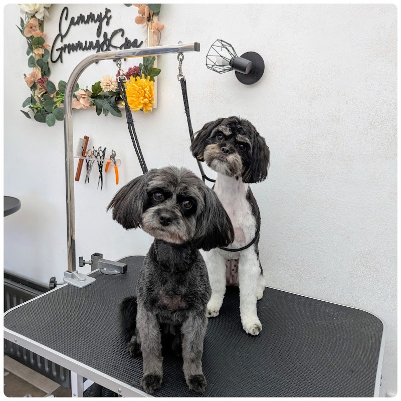 Cammy's Grooming & Spa - Coiffure Belfast - OneBooking