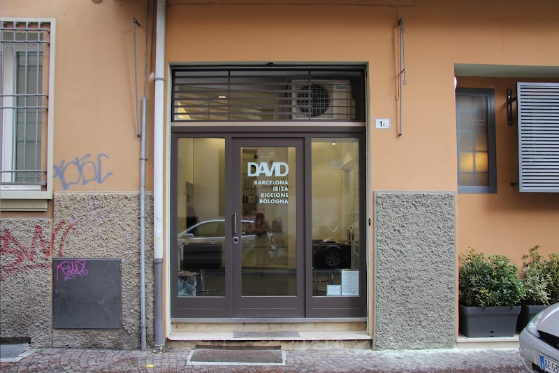 David Hair Stylist by Hela hairdesigner - Coiffure Bologna - OneBooking