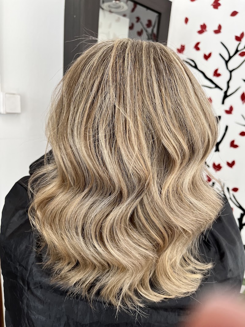 Butterfly Hair and Beauty Salon ✂ - Coiffure Brussels - OneBooking