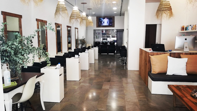 Hade ※ Peluquería Alicante - Coiffure Alicante - OneBooking